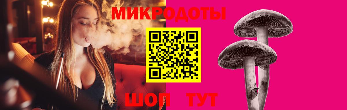 Галлюциногенные грибы Psilocybine cubensis  Вход с VPN  Лениногорск 